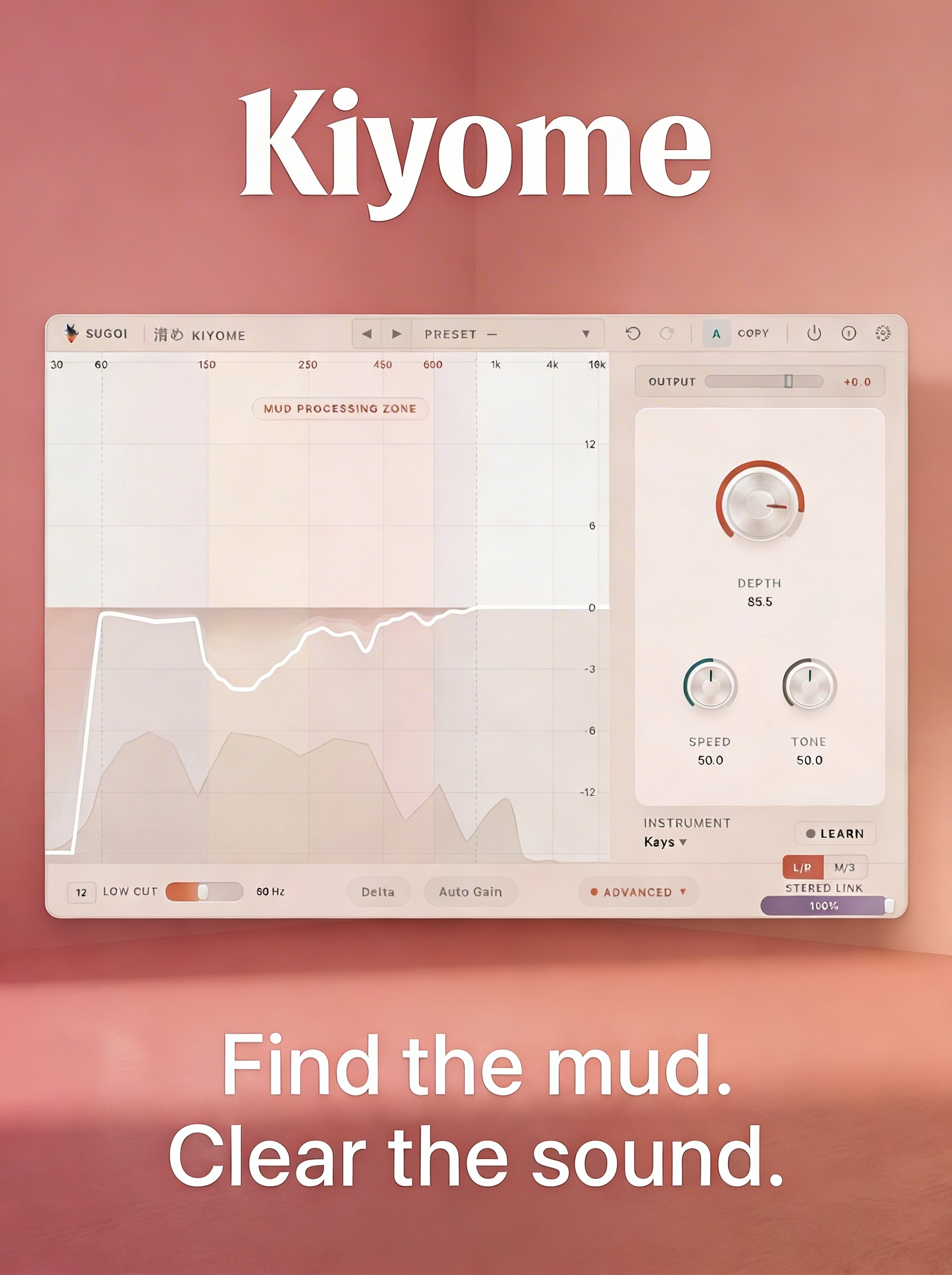 Kiyome plugin interface